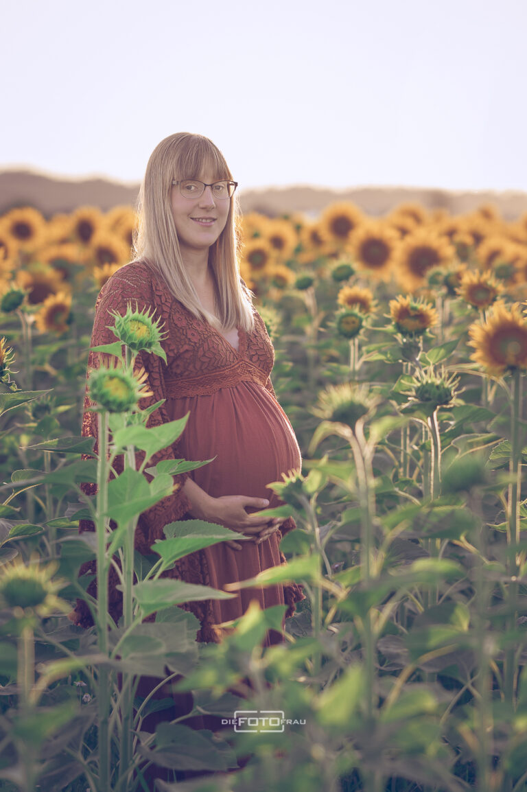 Babybauchshooting im Sonnenblumenfeld bei Abendsonne